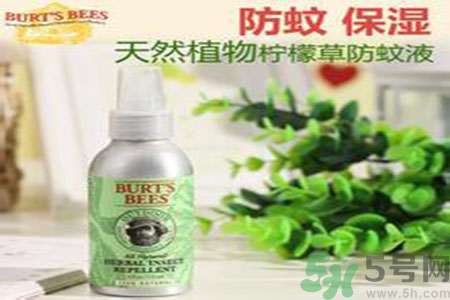 驅(qū)蚊液可以驅(qū)蒼蠅嗎？驅(qū)蚊液可以驅(qū)走什么蟲(chóng)子？