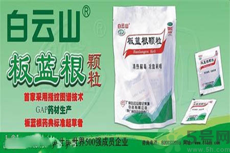 感冒了吃板藍根有效嗎？感冒了吃板藍根有用嗎？