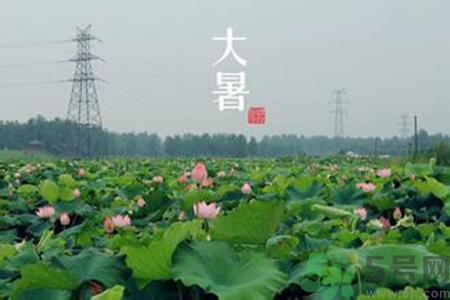 大暑吃什么養生？大暑吃什么好？
