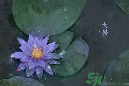 大暑吃什么養生？大暑吃什么好？