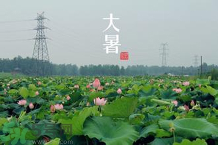 大暑吃什么水果？大暑吃什么水果養(yǎng)生？