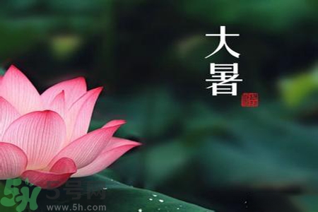 大暑吃什么水果？大暑吃什么水果養生？