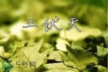 三伏天什么時候結束？三伏天是哪幾天？