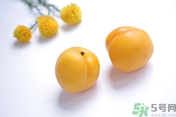吃杏子能減肥嗎？杏子的功效與作用