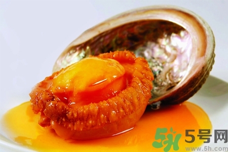 鮑魚如何挑選？鮑魚如何保存？
