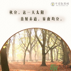 立秋是秋分嗎？立秋和秋分的區別？