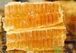 蜂膠是什么東西？蜂膠可以長期服用嗎？