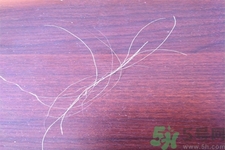 生完寶寶白頭發的原因？生完寶寶白頭發怎么辦？