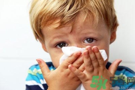 過敏性鼻炎的高發人群有哪些？如何預防過敏性鼻炎？