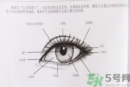 白內障的高發人群有哪些？如何預防白內障？