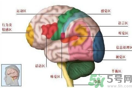 腦出血的高發(fā)人群有哪些？如何預(yù)防腦出血？