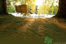處暑為什么要吃鴨？處暑吃鴨的好處有哪些？