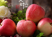 孕婦可以吃嘎啦果嗎？嘎啦果的禁忌