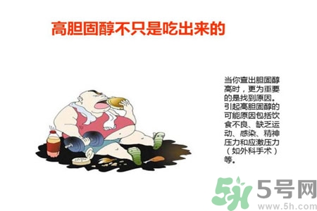 高膽固醇會影響胖瘦嗎？高膽固醇和胖瘦有關系嗎？