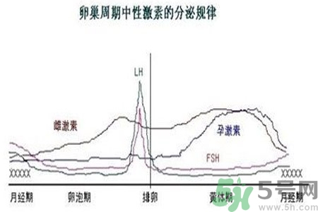 如何分清常見(jiàn)的激素藥？如何正確使用激素類藥物？