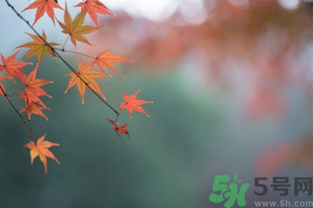 秋老虎如何謹(jǐn)防皮膚病？秋老虎如何預(yù)防皮膚病？