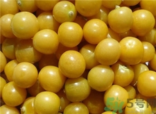 吃燈籠果有什么好處?菇娘的營養價值及功效