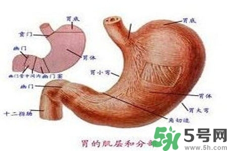 急性腸胃炎哪些食物不可以吃？急性腸胃炎不能吃的水果有？