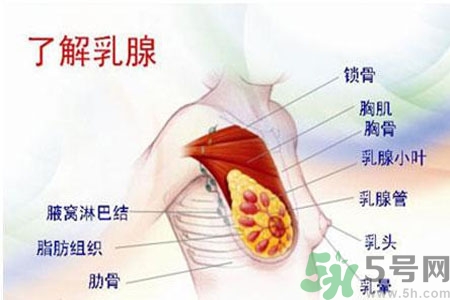 乳頭為什么會(huì)癢？乳頭癢怎么辦？