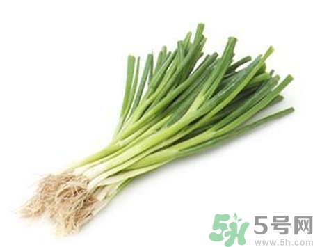 大蔥和香蔥的區別是什么?大蔥和香蔥能一起吃嗎?