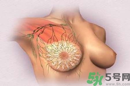 乳頭發黑怎么辦？怎么樣可以使乳頭變白？