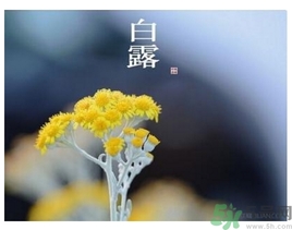 白露身不露是什么意思？白露還熱嗎？