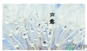 白露身不露是什么意思？白露還熱嗎？
