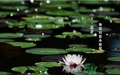 處暑如何養(yǎng)生？處暑養(yǎng)生要注意什么？