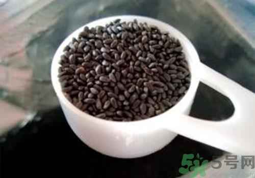蘭香子的功效作用 蘭香子的營養價值和食用禁忌