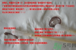 neo小黑環真假怎么辨別?neo小黑環真假辨別圖