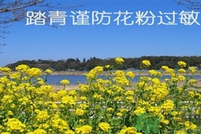 花粉過敏的表現是什么？如何有效的預防花粉過敏？