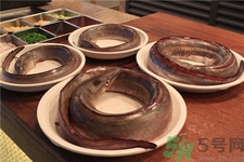 鰻魚的營養價值 鰻魚的功效與作用