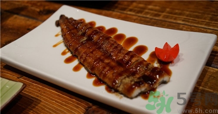 鰻魚的營養價值 鰻魚的功效與作用