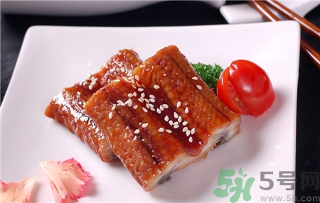 鰻魚的營養價值 鰻魚的功效與作用