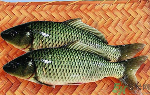 魚皮的營養價值 魚皮的食用功效