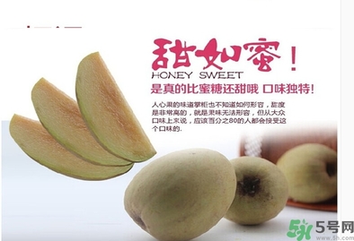 人心果的功效作用 人心果的營養和食用禁忌 人心果的功效作用 人心果的營養和食用禁忌