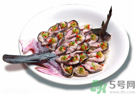 鴨嘴魚的營養價值 鴨嘴魚的功效與作用