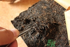 秋天喝什么茶好？喝茶需要注意什么？