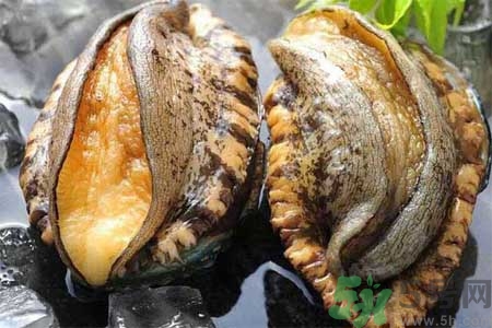 鮑魚(yú)的營(yíng)養(yǎng)價(jià)值有哪些？鮑魚(yú)的藥用價(jià)值是什么？