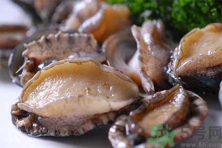 鮑魚(yú)的營(yíng)養(yǎng)價(jià)值有哪些？鮑魚(yú)的藥用價(jià)值是什么？