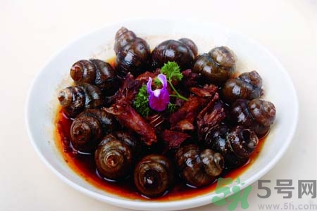 田螺肉怎樣做？田螺的營養價值有哪些？