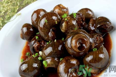 田螺肉怎樣做？田螺的營養價值有哪些？
