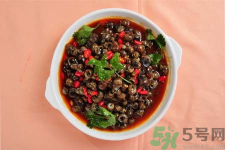 田螺肉怎樣做？田螺的營養價值有哪些？