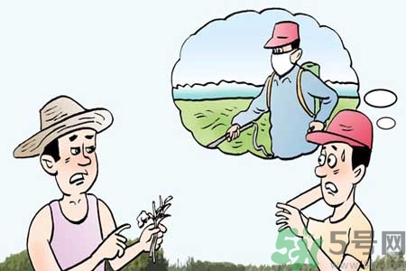 怎么洗掉水果上的農藥？農藥殘留的危害有哪些？