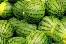 西瓜牛奶可以一起吃嗎？西瓜牛奶怎么做好吃？