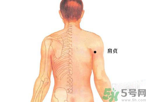 肩周炎艾灸有用嗎？肩周炎艾灸哪些部位？