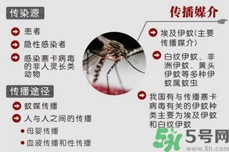 寨卡病毒會死人嗎？寨卡病毒會死嗎？