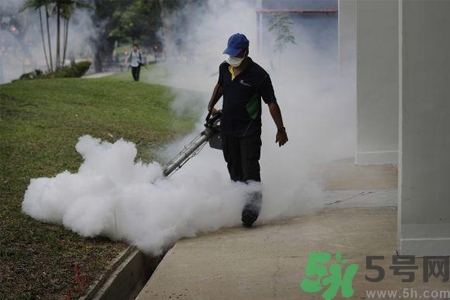 寨卡病毒會死人嗎？寨卡病毒會死嗎？