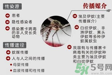 寨卡病毒可以治愈嗎？寨卡病毒如何治愈？