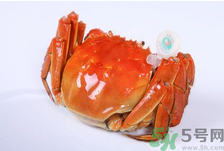 陽(yáng)澄湖大閘蟹怎么做好吃？陽(yáng)澄湖大閘蟹的做法